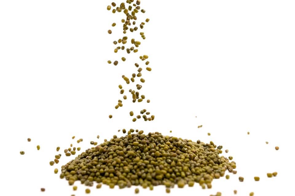 FB_IMG_1752943980578