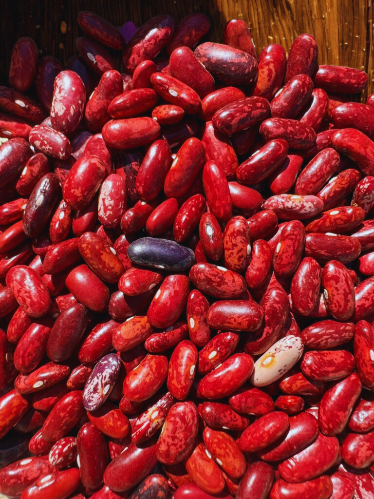 ddee4148-bdfb-48ab-8208-b37b8ae51011