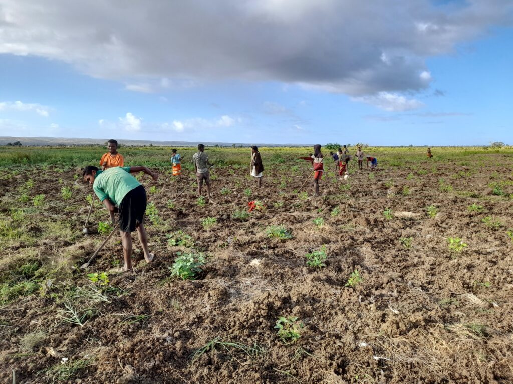 Home 20220617 083649