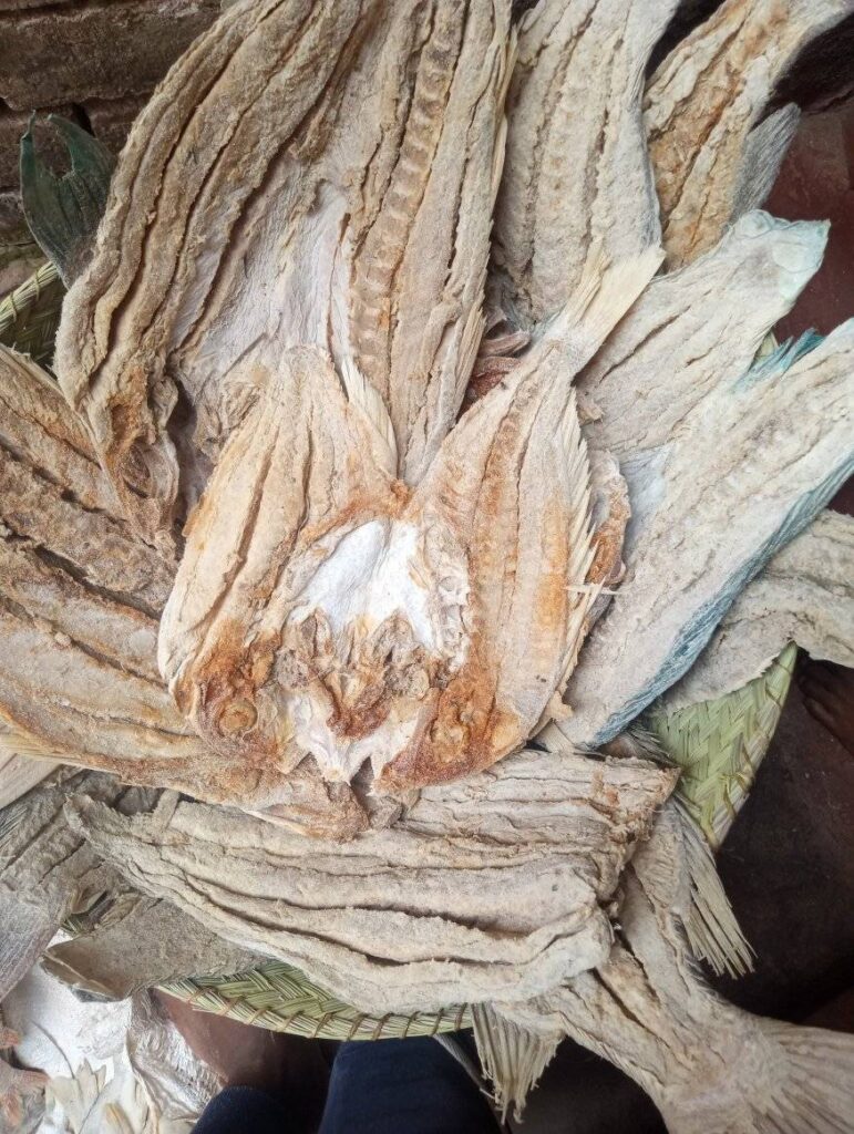 Home 574571903 1866006107606799 4894161263391494233 n