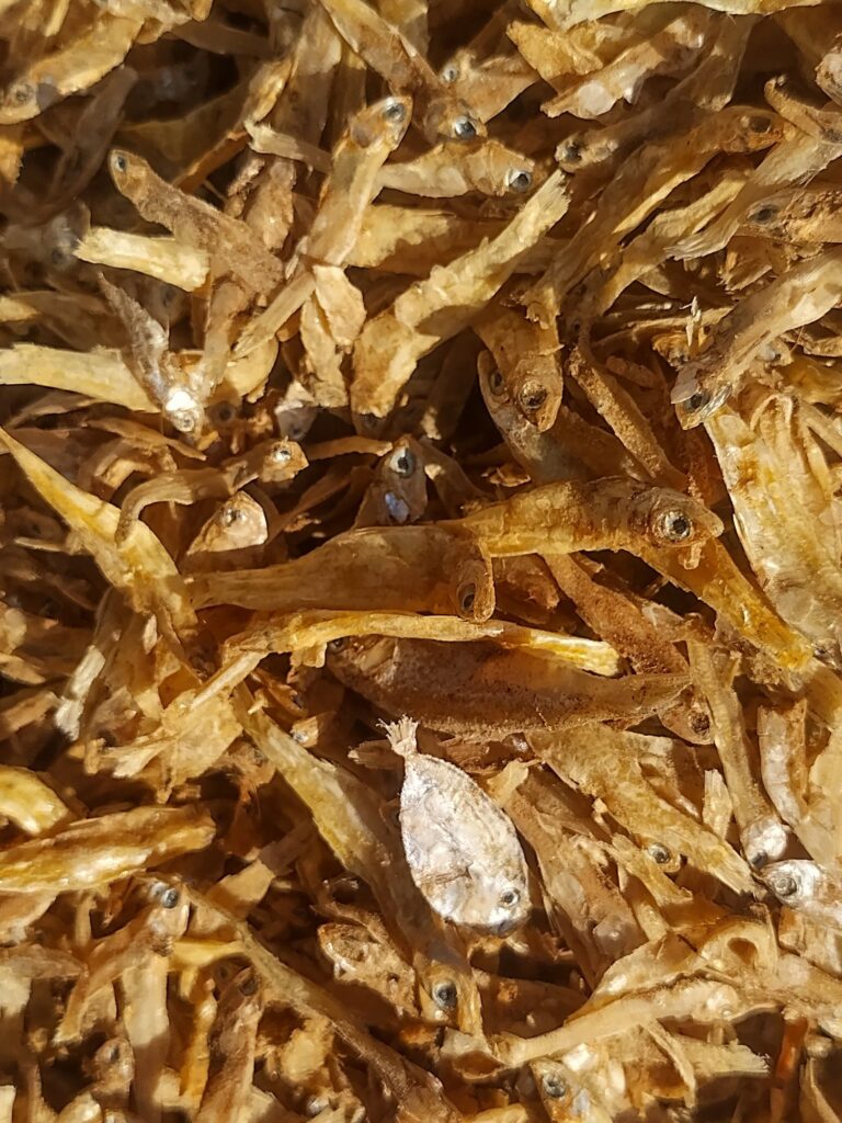 Home 594070399 882481974206649 7939716391300451059 n