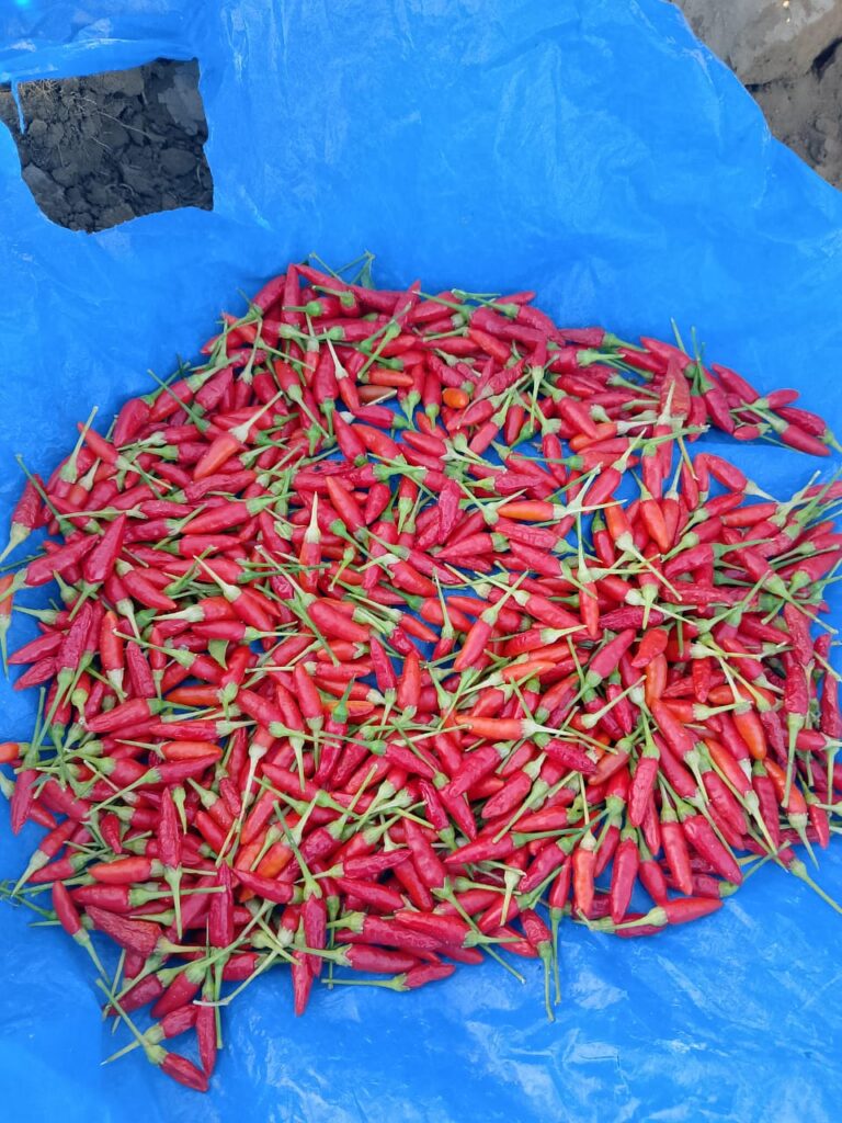 Home img 20260211 wa0006