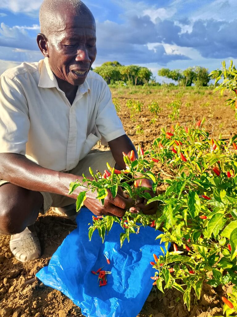 Home img 20260211 wa0008