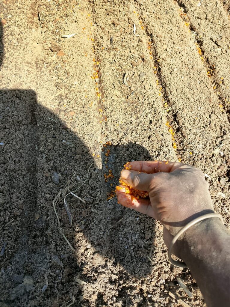 Home img 20260218 wa0003