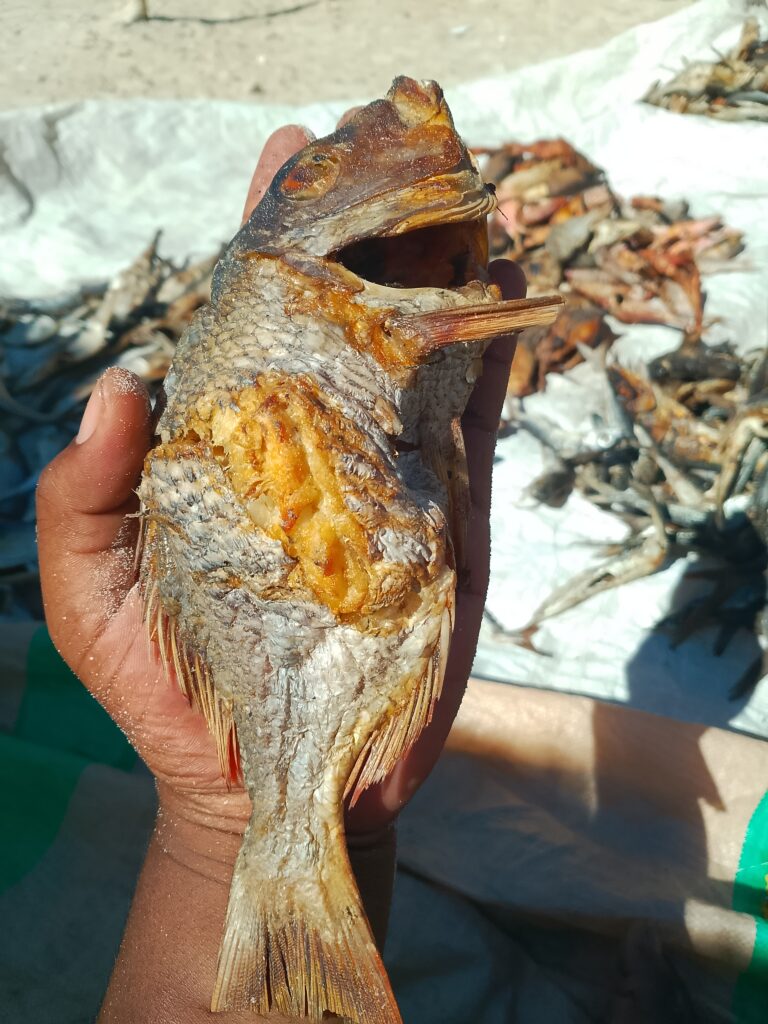 Home img 20250205 092055