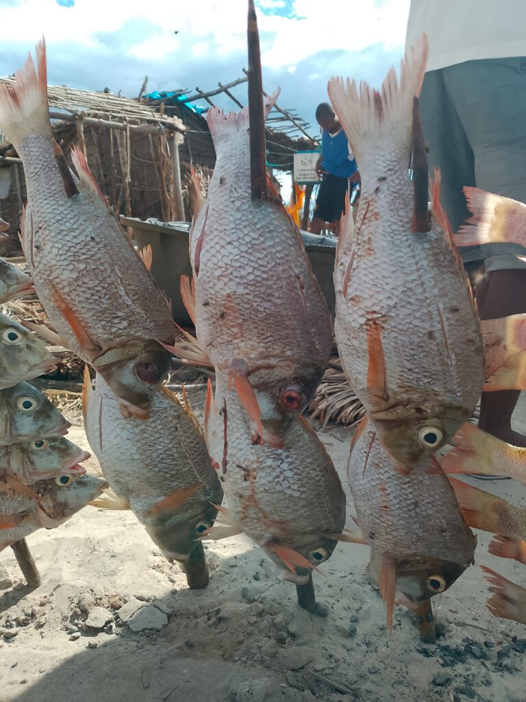 Home img 20250205 154825