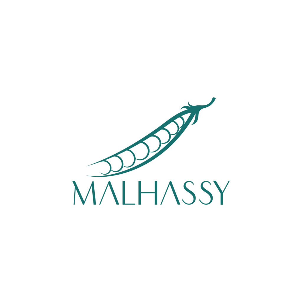 logo (2)