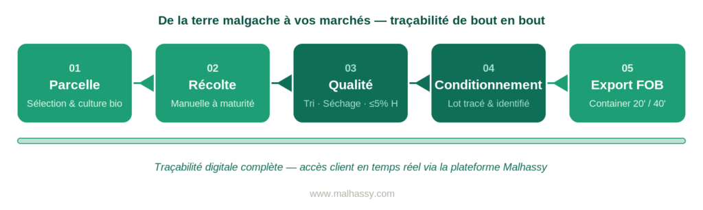 visuel1 supply chain malhassy